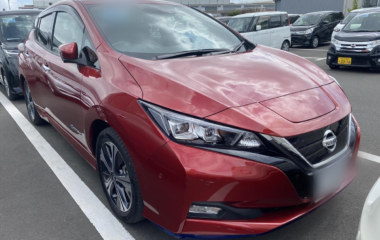 Nissan Leaf 2019