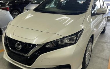 Nissan Leaf 2017