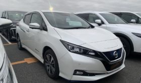 Nissan Leaf 2019