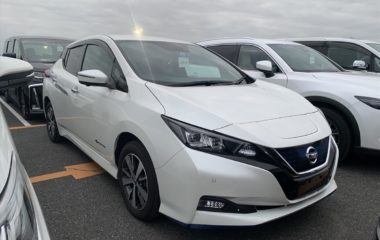 Nissan Leaf 2019